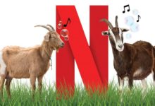 Фото - В заставке Netflix мог звучать крик козла