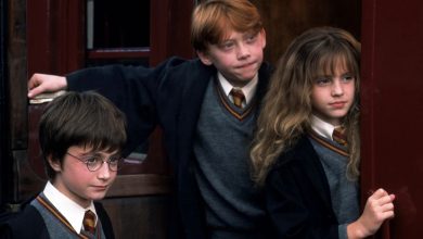 Фото - Глава Warner Bros. хочет продолжить «Гарри Поттера»